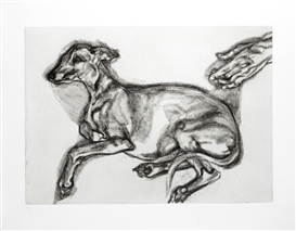 PLUTO AGED TWELVE (FIGURA 91) by Lucian Freud